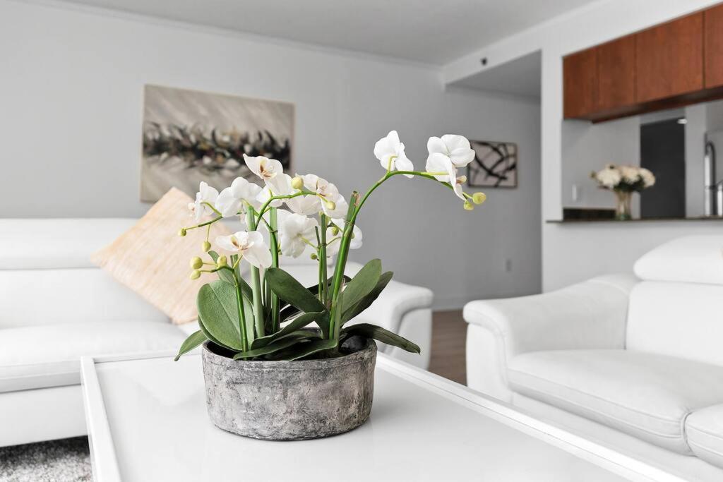 Modern 2/2 With Beautiful Ocean And Brickell Views Daire Miami Dış mekan fotoğraf